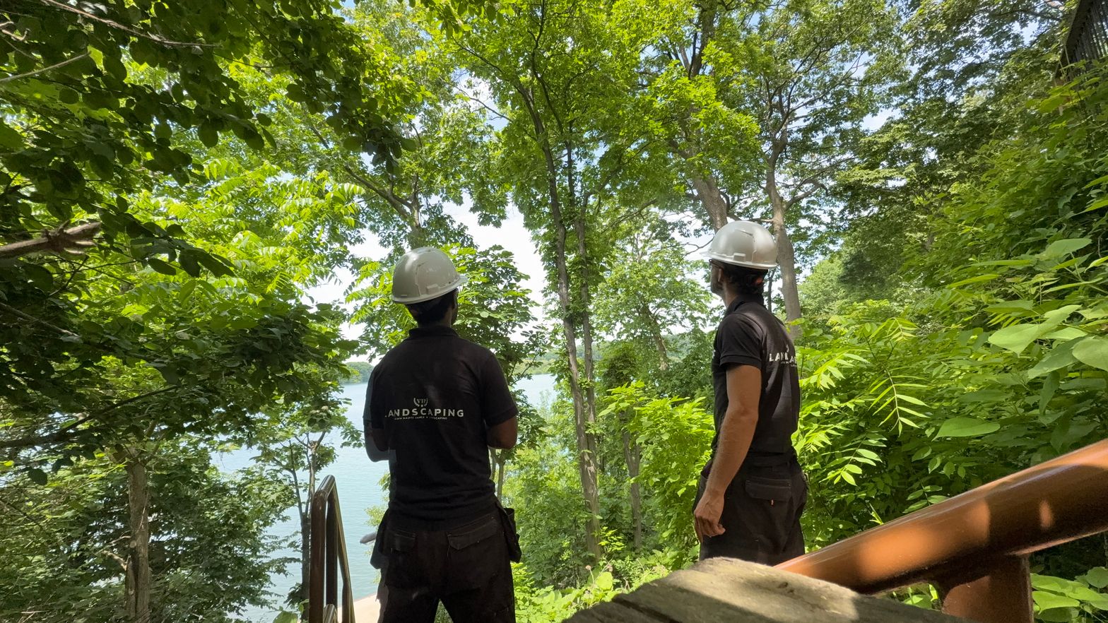 Professional Team Work - VIP landscaping crew working in forested area with safety equipment